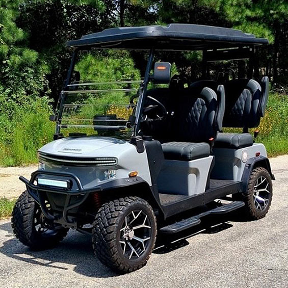 2025 Denago Rover 4 XL Electric Golf Cart Rental