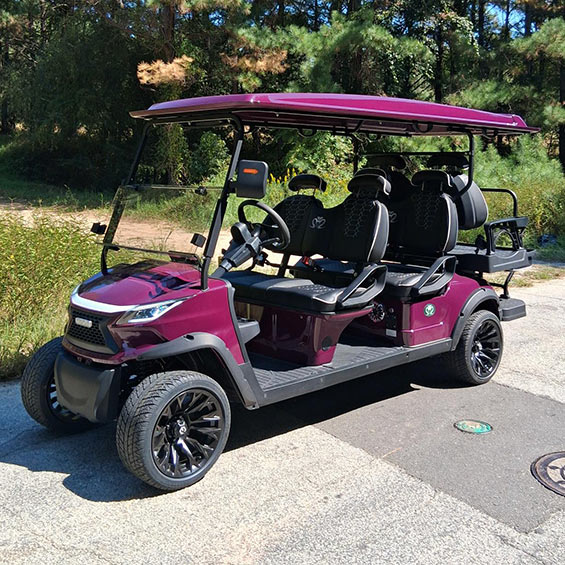 2025 Venom EV Strike 6 4+2 Electric Golf Cart Rental