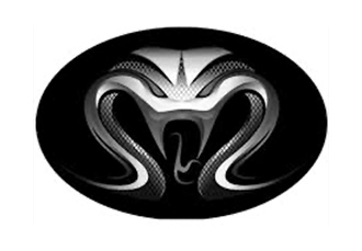 Venom Golf Carts